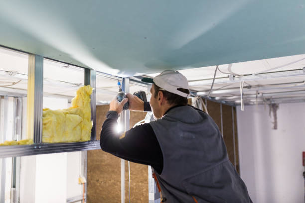 Best Insulation Removal  in Cutten, CA