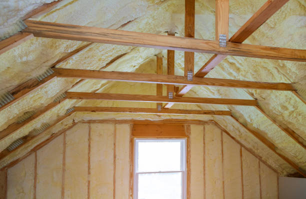 Best Home Insulation Services  in Cutten, CA