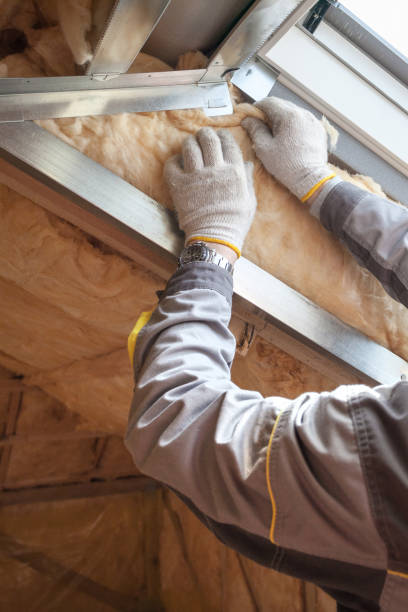 Best Crawl Space Insulation  in Cutten, CA