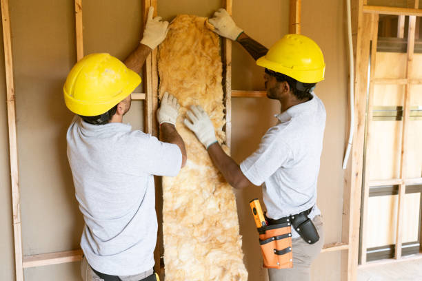 Best Insulation Contractors for Homes  in Cutten, CA